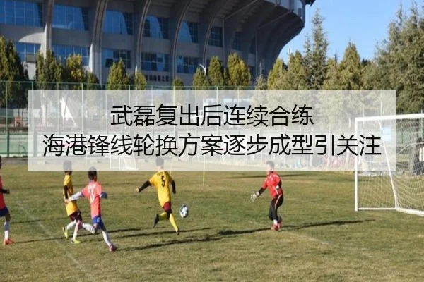 武磊复出后连续合练 海港锋线轮换方案逐步成型引关注 - kayuin